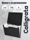 Папка картотека А4, Calligrata, 6 отделений, пластиковая, 700 мкм, чёрная