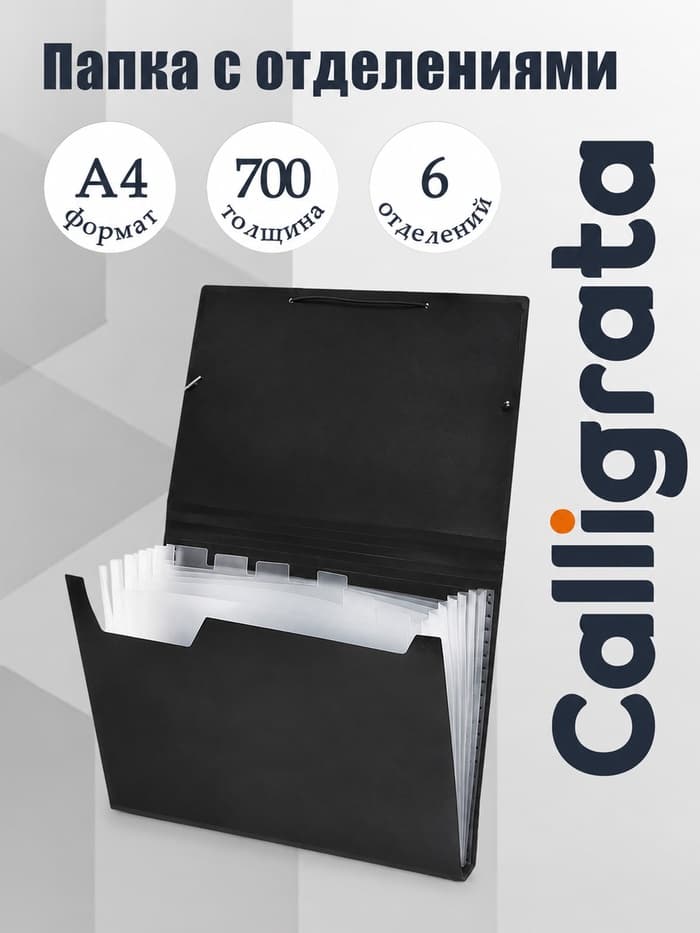 Папка картотека А4, Calligrata, 6 отделений, пластиковая, 700 мкм, чёрная