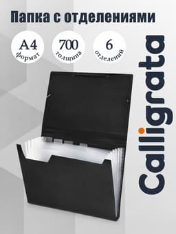 Папка картотека А4, Calligrata, 6 отделений, пластиковая, 700 мкм, чёрная