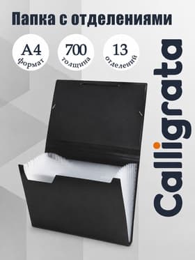 Папка картотека А4, Calligrata, 13 отделений, пластиковая, 700 мкм, чёрная
