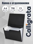 Папка картотека А4, Calligrata, 13 отделений, пластиковая, 700 мкм, чёрная