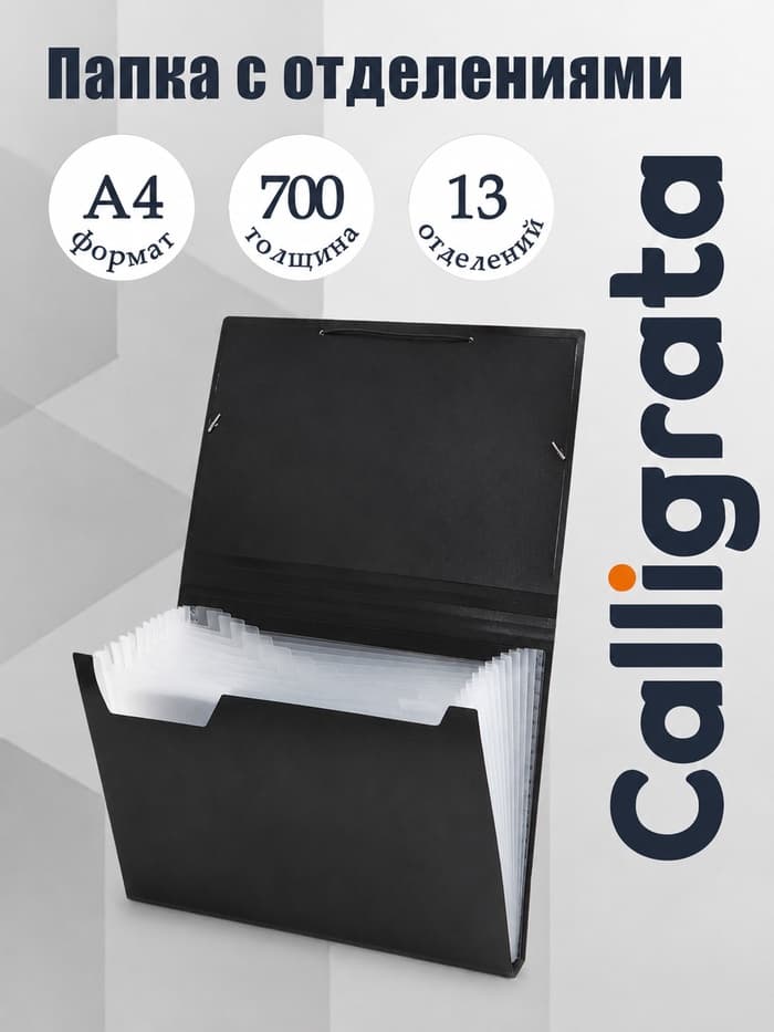 Папка картотека А4, Calligrata, 13 отделений, пластиковая, 700 мкм, чёрная