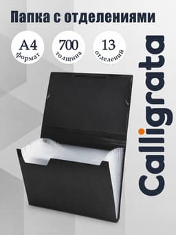 Папка картотека А4, Calligrata, 13 отделений, пластиковая, 700 мкм, чёрная