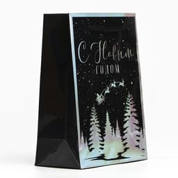 Пакет новогодний подарочный голографический «С Новым годом», S 12×15×5.5 см