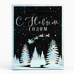 Пакет новогодний подарочный голографический «С Новым годом», S 12×15×5.5 см