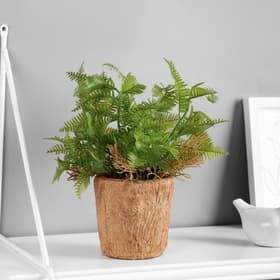 Искусственный цветок в горшке «Папоротниковидный уил», 8×22 см, МИКС