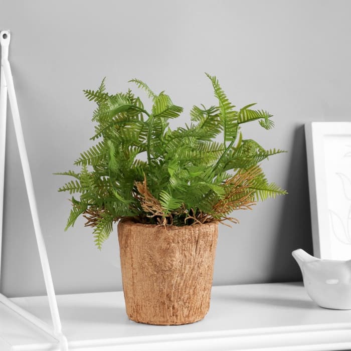 Искусственный цветок в горшке «Папоротниковидный уил», 8×22 см, МИКС