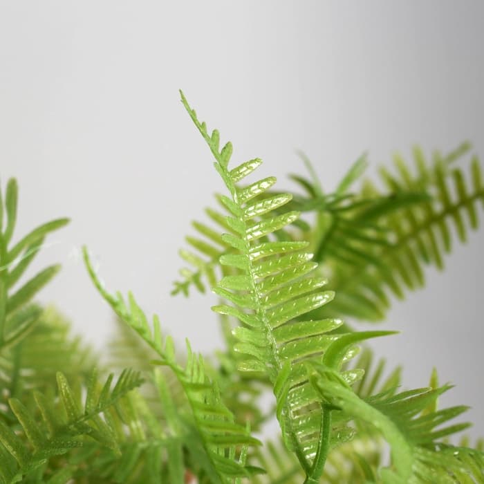 Искусственный цветок в горшке «Папоротниковидный уил», 8×22 см, МИКС