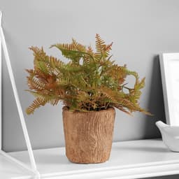 Искусственный цветок в горшке «Папоротниковидный уил», 8×22 см, МИКС