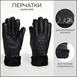 Перчатки мужские, безразмерные, с утеплителем, чёрная
