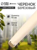 Черенок берёзовый, d=40 мм, длина 120 см, 1 сорт, Greengo