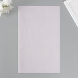 Лист для творчества искусственная кожа «Рисунок Личи», мятный лист 33×20 см, толщина 0.7 мм