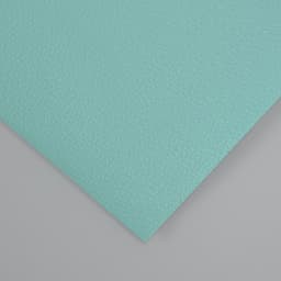 Лист для творчества искусственная кожа «Рисунок Личи», мятный лист 33×20 см, толщина 0.7 мм