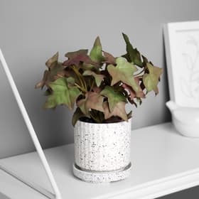 Искусственный цветок в горшке «Плющ комнатный ультра» (мягкий лист), 15×7 см, МИКС