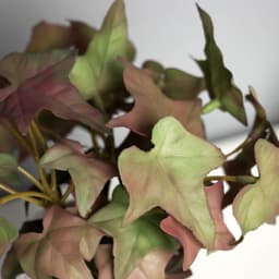 Искусственный цветок в горшке «Плющ комнатный ультра» (мягкий лист), 15×7 см, МИКС