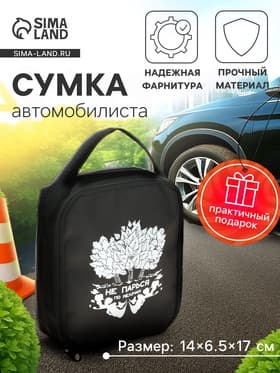 Сумка автомобилиста «Не парься», 14×6.5×17 см, чёрный