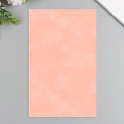 Лист для творчества искусственная кожа «Масло. Матовый», персиковый лист 33×20 см, толщина 0.74 мм