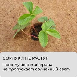 Круг приствольный, d=0.75 м, из кокосового полотна, набор 5 шт., «Мульчаграм»