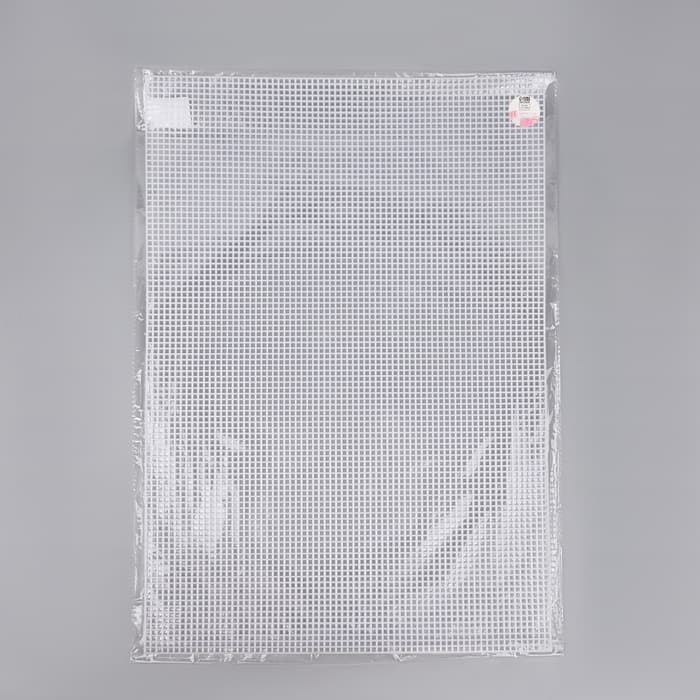 Канва для вышивания №4, пластиковая, 60×42 см, белая