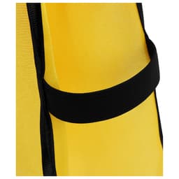 Манишка футбольная детская ONLYTOP, р. 36-40, на резинке, жёлтая