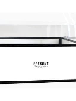 Коробка для цветов с фигурным вкладышем и пластиковой крышкой Present, 23.5×23.5×15 см