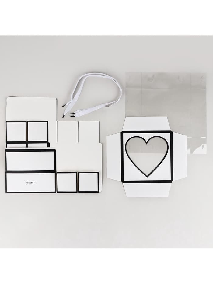 Коробка для цветов с фигурным вкладышем и пластиковой крышкой Present, 23.5×23.5×15 см