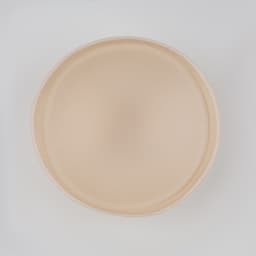 Чашки для бюстгальтера «Круг», 2XL (52), d=16.5 см, пара, бежевые