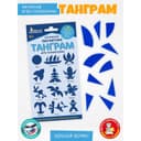 Головоломка магнитная для детей «Танграм. Круг», 10 деталей