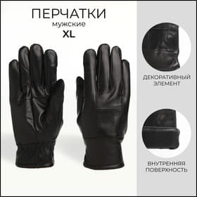 Перчатки мужские, размер XL, с утеплителем, чёрная