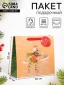 Пакет подарочный новогодний ламинированный «Зайка на льду», люкс, 36×32×12 см