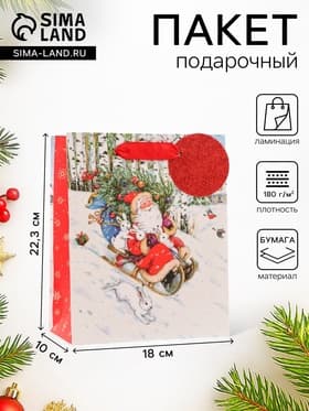 Пакет подарочный новогодний ламинированный «На санях», люкс, 18×22.3×10 см