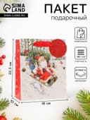 Пакет подарочный новогодний ламинированный «На санях», люкс, 18×22.3×10 см