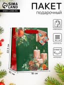 Пакет подарочный новогодний ламинированный с тиснением «Уют», люкс, 18×22.3×10 см
