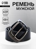 Ремень мужской, ширина 3.5 см, винт, один прокол, пряжка металл, чёрный