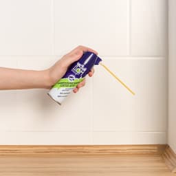 Аэрозоль дихлофос Инсектицид «Чистый дом», от летающих и ползающих насекомых, 150 мл