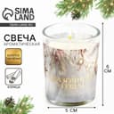 Ароматическая свеча новогодняя в стакане «Сказочного года», корица, 5×6 см