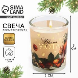Ароматическая свеча новогодняя в стакане «Время уюта», лесной орех, 5×6 см