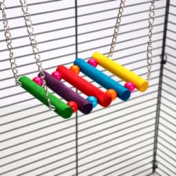 Качели-лесенка для птиц, длина цепи 36 см, дерево