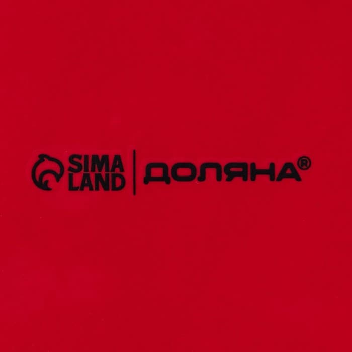 Блинница новогодняя Доляна «Сани Деда Мороза», d=23 см, доломит, белая