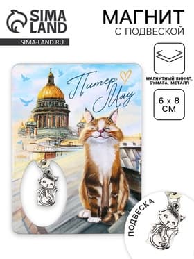 Магнит «Питер», 6×8 см