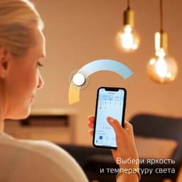 Умная лампа Gauss Smart Home, C35, E14, 4.5 Вт, 495 Лм, Wi-Fi (1250112)
