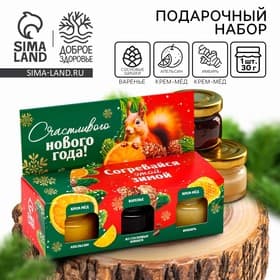 Подарочный набор новогодний «Согревайся этой зимой» 2 крем-мёда и варенье с шишками 3×30 г