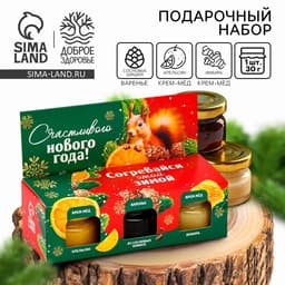 Подарочный набор новогодний «Согревайся этой зимой» 2 крем-мёда и варенье с шишками 3×30 г