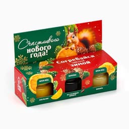 Подарочный набор новогодний «Согревайся этой зимой» 2 крем-мёда и варенье с шишками 3×30 г