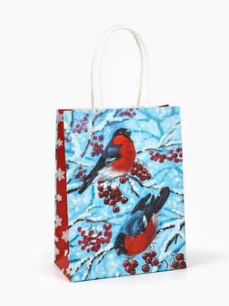 Пакет бумажный подарочный новогодний крафт «Снегири» 16×12×6 см