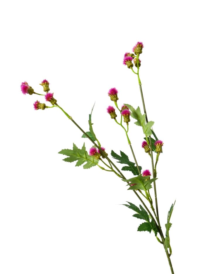 Цветы искусственные «Мимоза садовая люкс», h=60 см, сиреневые