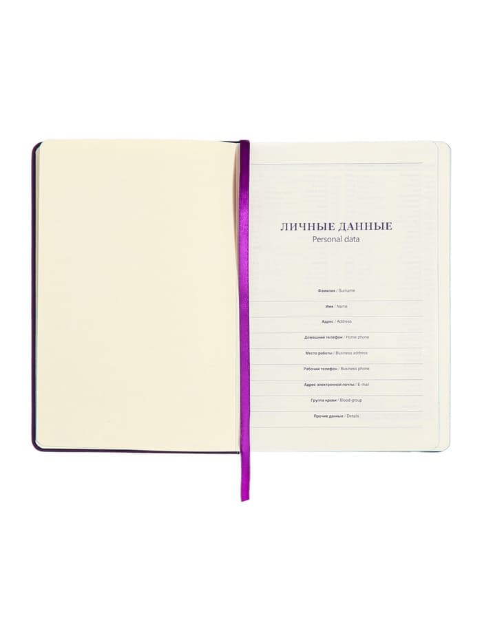 Ежедневник недатированный A5, 140 листов, искусственная кожа, на резинке, синий срез, фиолетовый