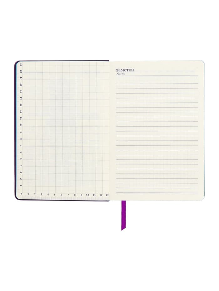 Ежедневник недатированный A5, 140 листов, искусственная кожа, на резинке, синий срез, фиолетовый