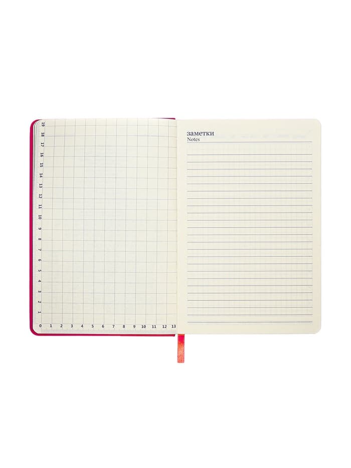 Ежедневник недатированный A5, 140 л, клетка, кожзам, на резинке, черный срез, Красный