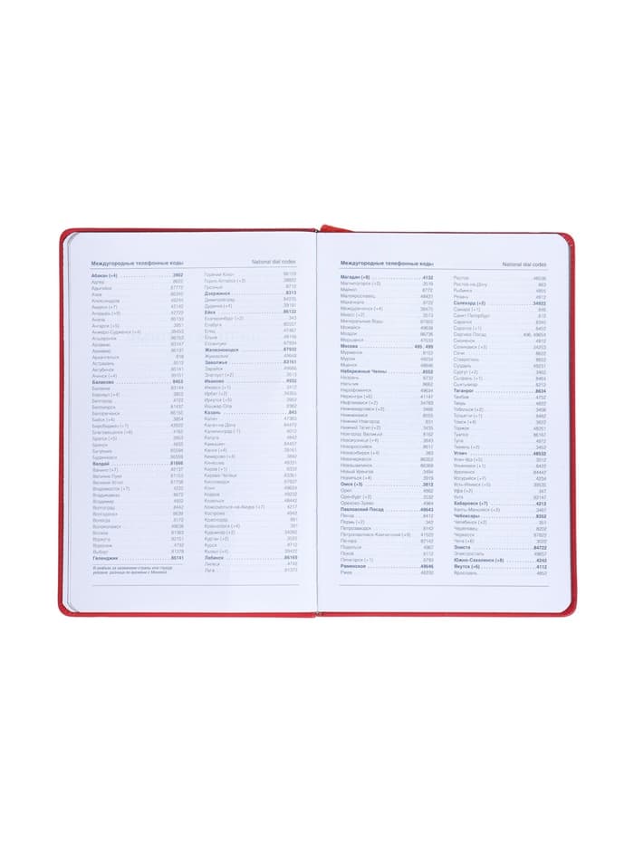 Ежедневник недатированный A5, 140 л, клетка, кожзам, на резинке, черный срез, Красный